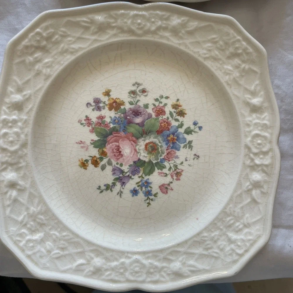 5 Briar Rose by‎ Salem SLM46 Embossed Rim Floral Motif Ivory 6